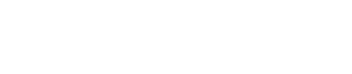 AX 1000